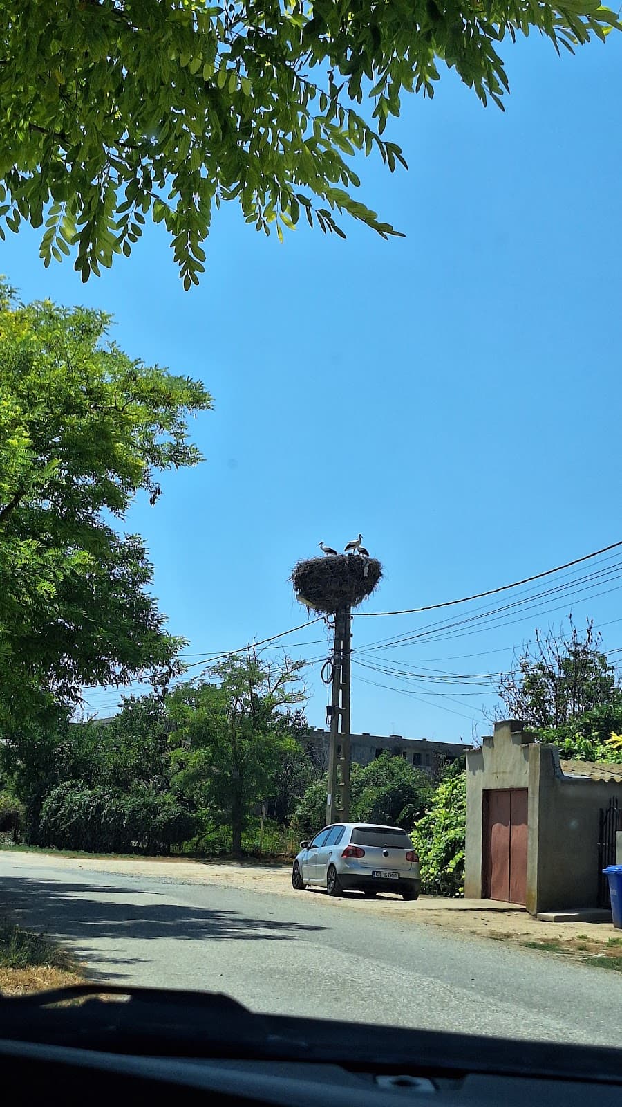 Pensiunea Blue House Vadu 3