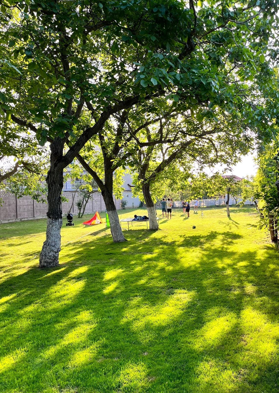 Pensiunea Casa Nucilor 3