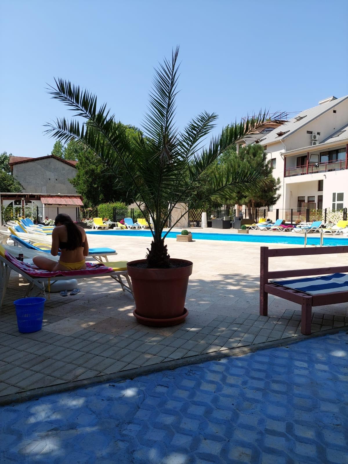 Pensiunea D'Amy Costinesti