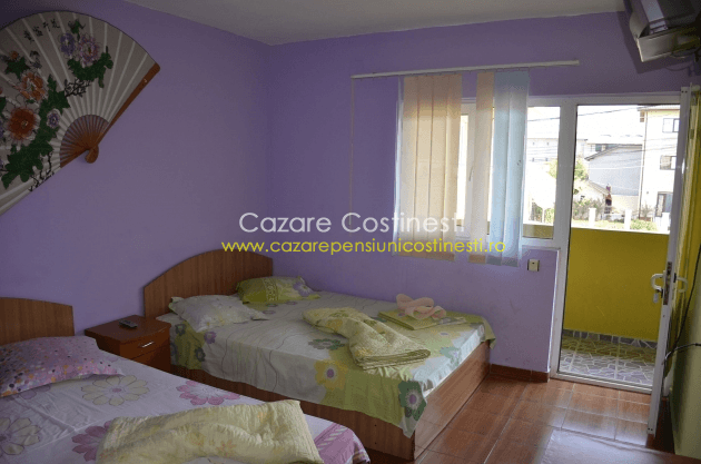 Pensiunea Dalila din Costinesti 2