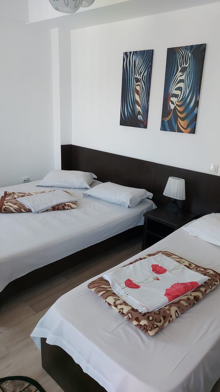 Pensiunea Meridian Eforie Nord 2