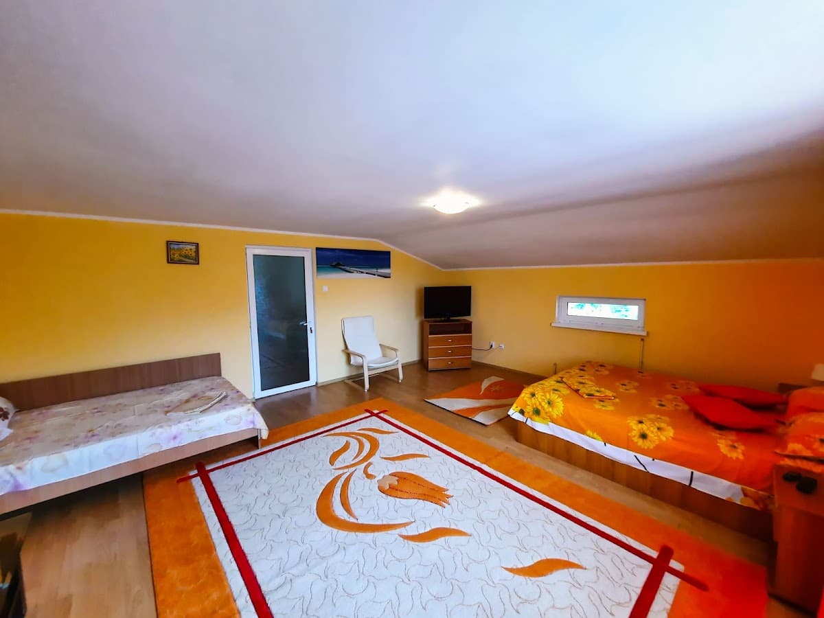 Vila Adriana Corbu 2