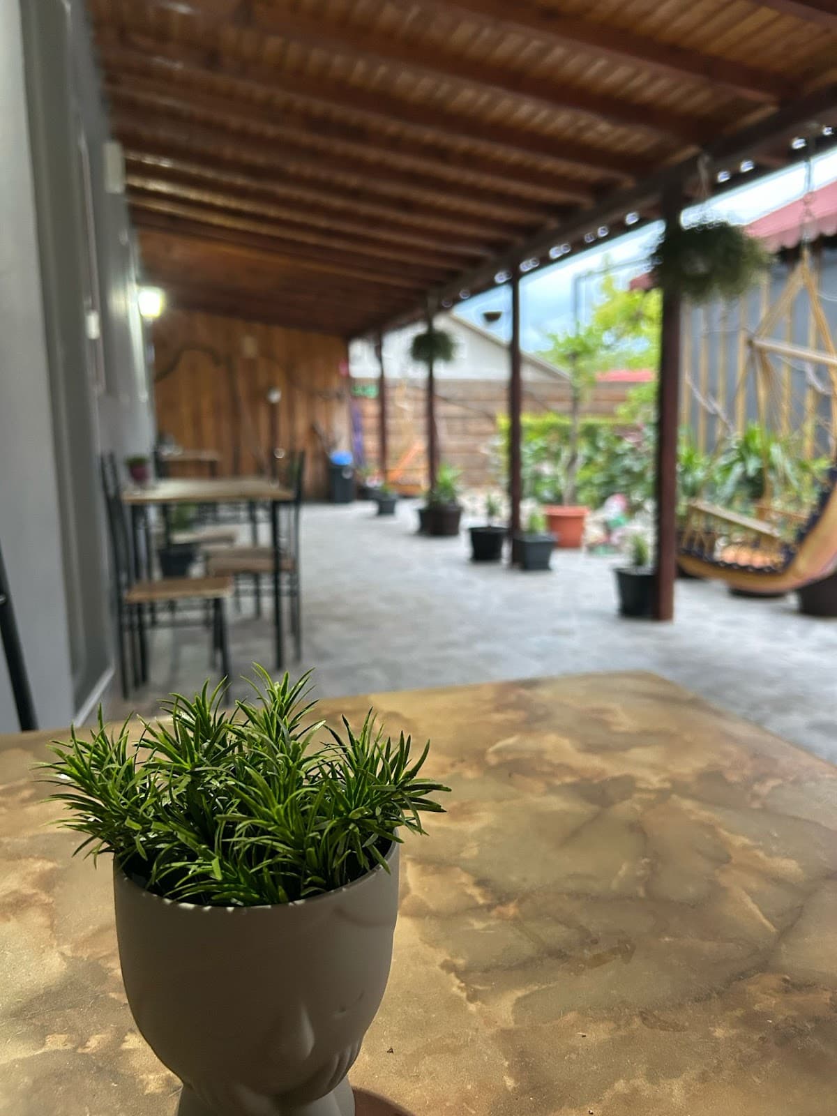 Vila Aron ( Cazare Tuzla) 3