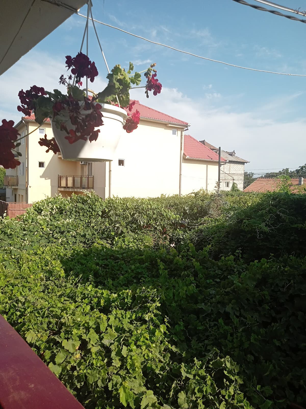 Vila Costel & Mirela 3