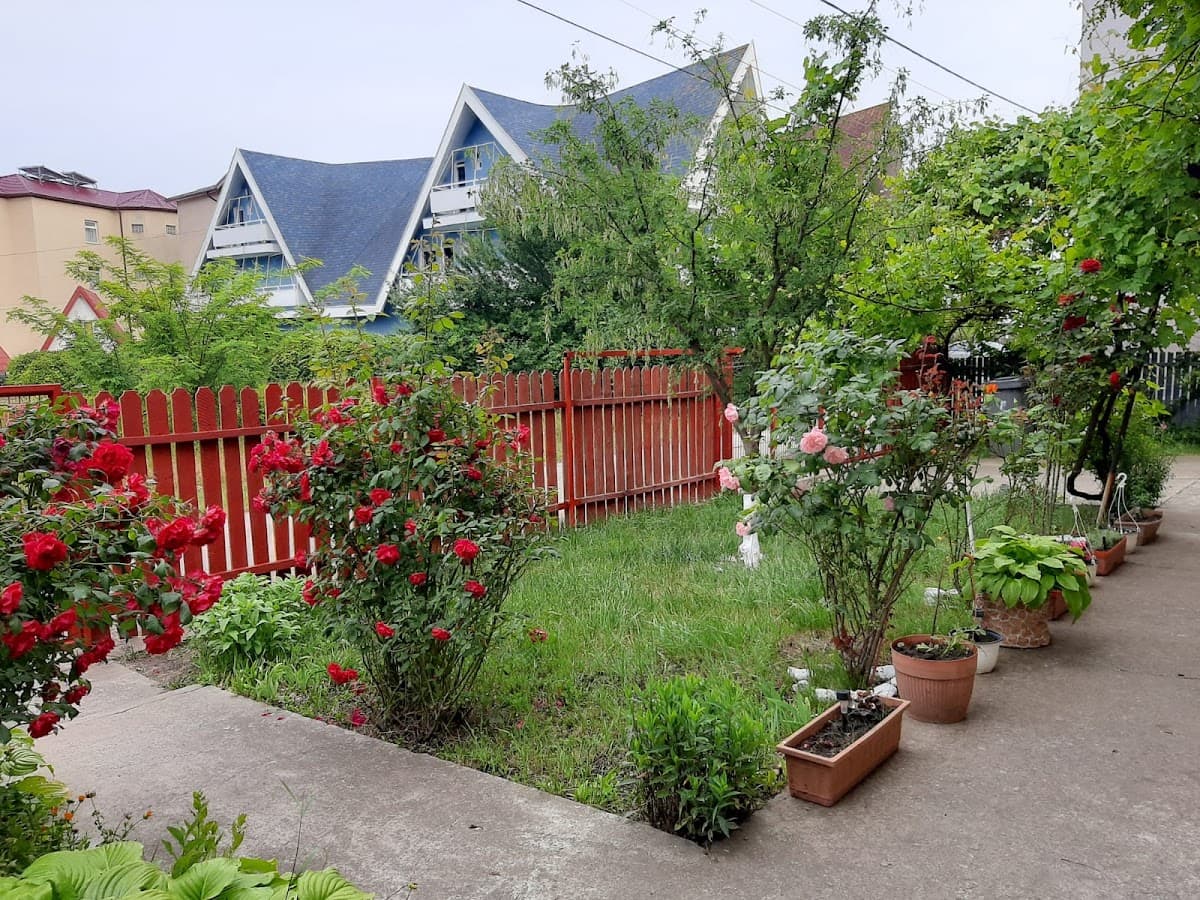 Vila Floarea Soarelui