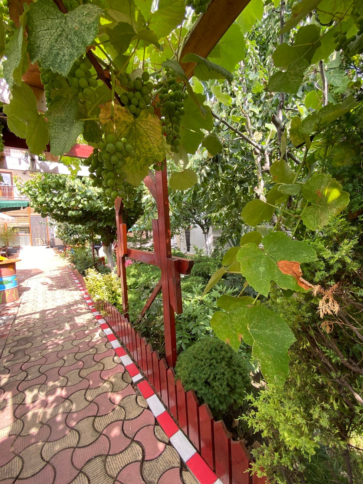 Vila Rosu Costinesti 3