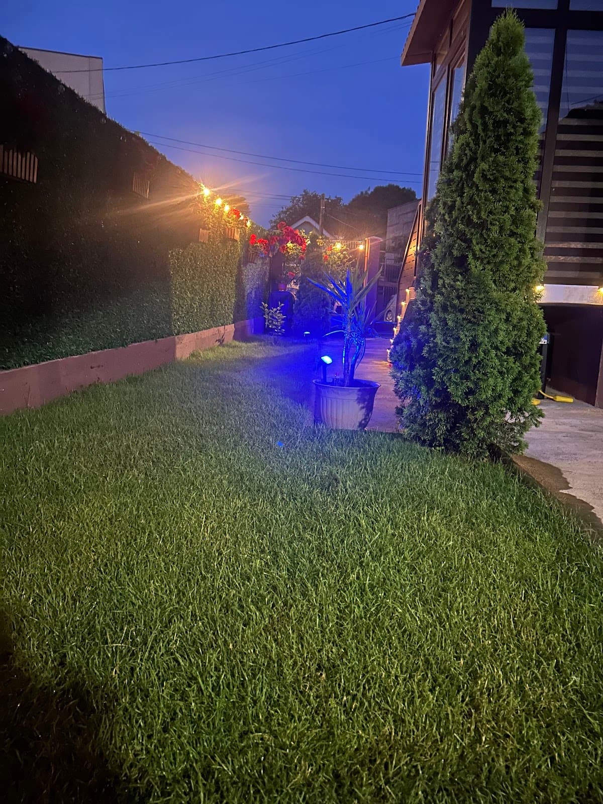 Villa Twins Techirghiol 3