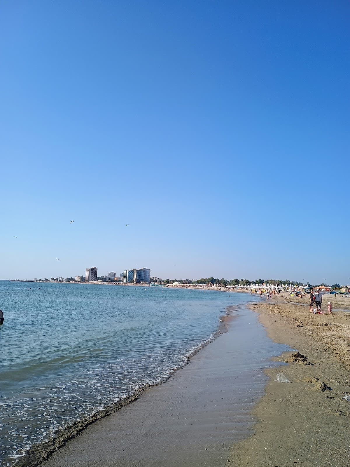 Autoservire "Perla Venusului"