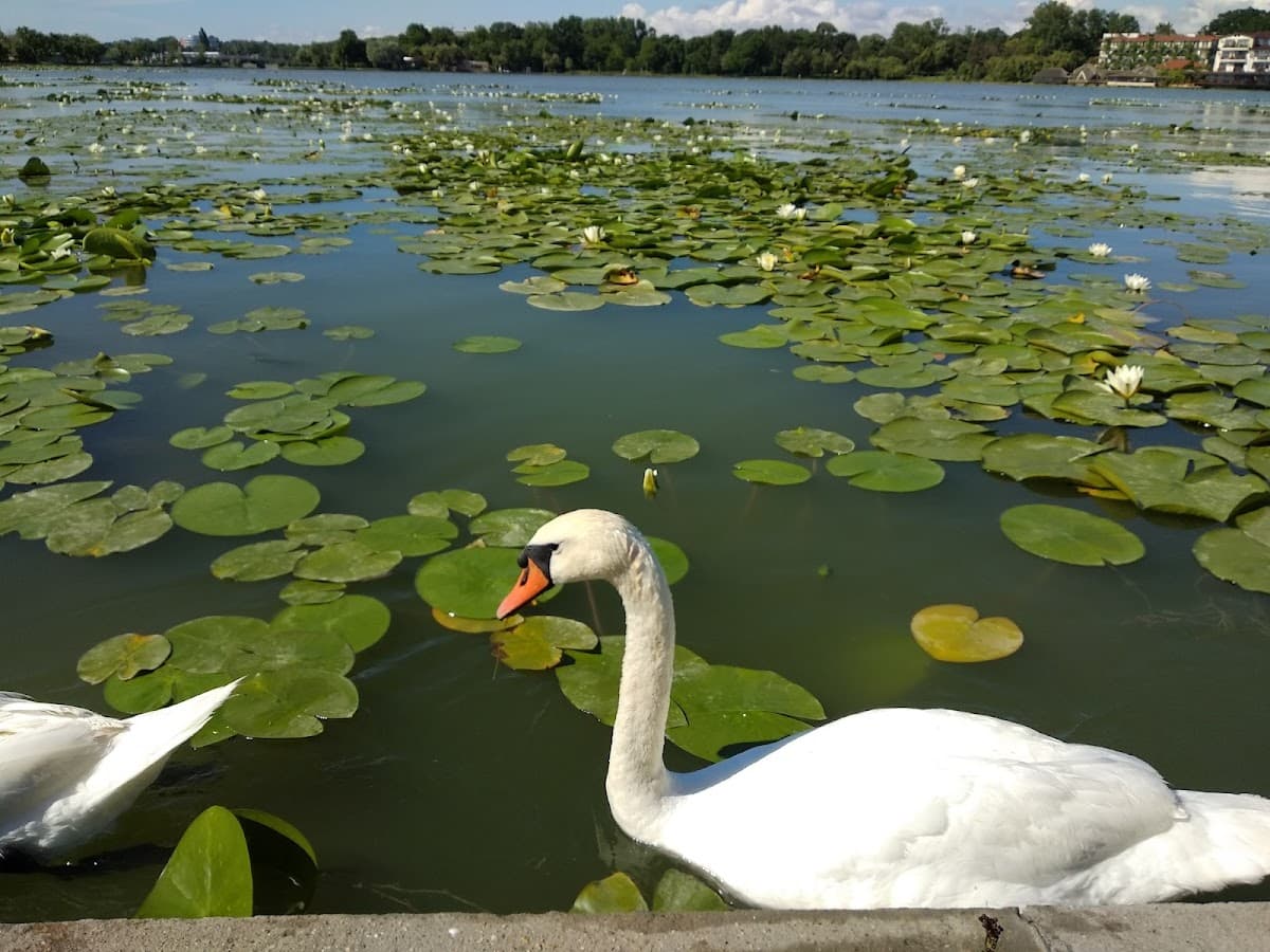 Restaurant Mama Leone Trident 3