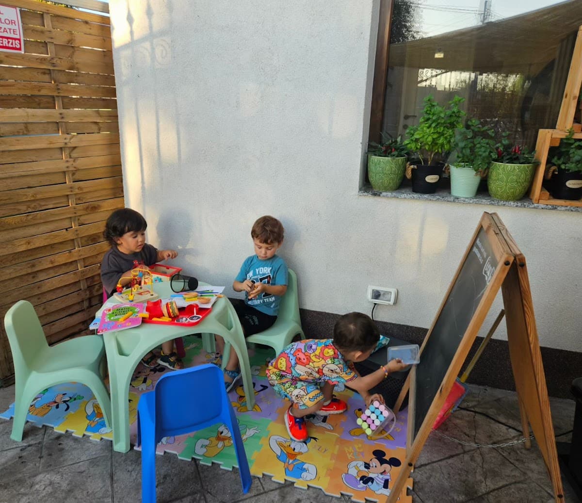 The Fking Burger Năvodari